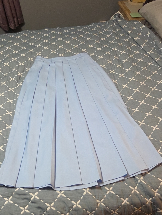 Commense Dresses & Skirts - Commense Blue Pleated Skirt